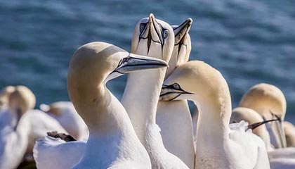 开云官方网站-【排名变化】最新世界排名运动员榜单公布，世界运动员排名怎么排