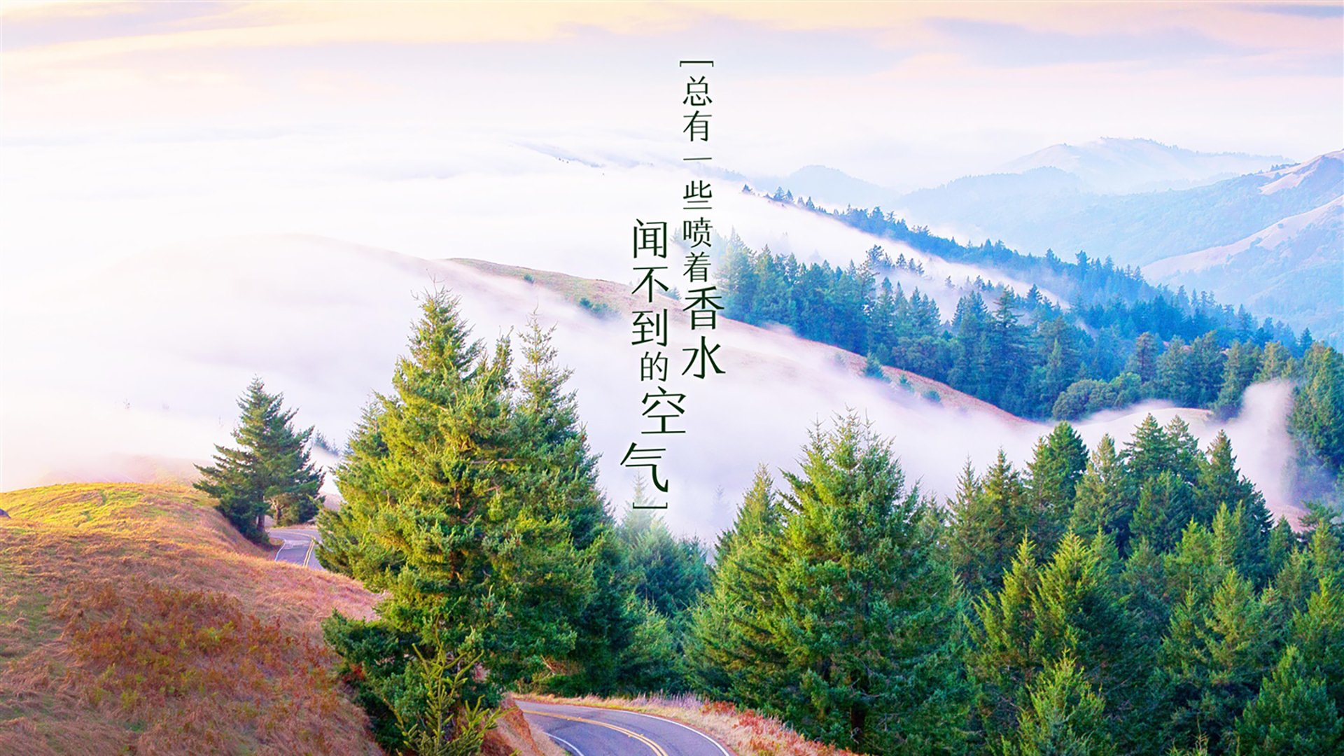 【逆转奇迹】比赛中逆境翻盘的精彩瞬间，经典逆转比赛