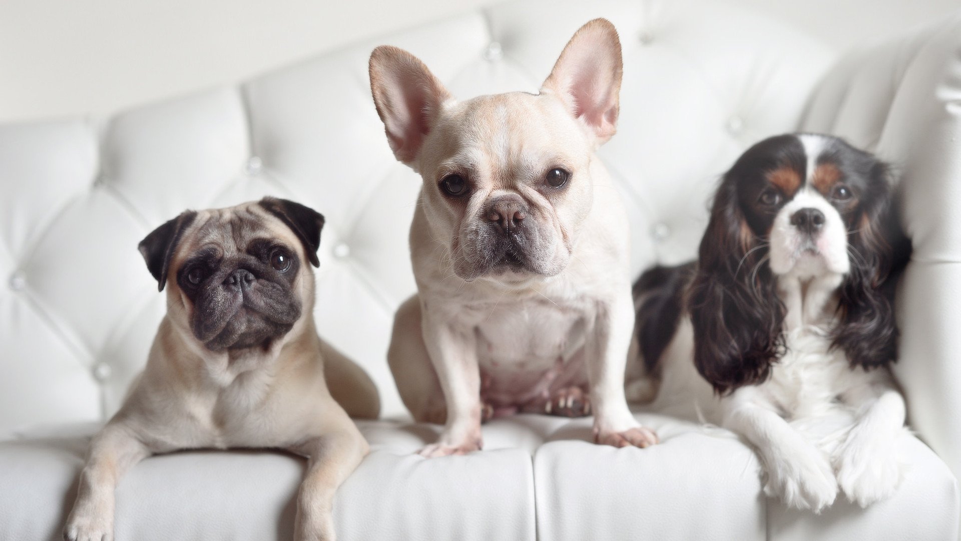 四川金强比赛经验丰富，表现稳定，四川金强赛事中心最新消息