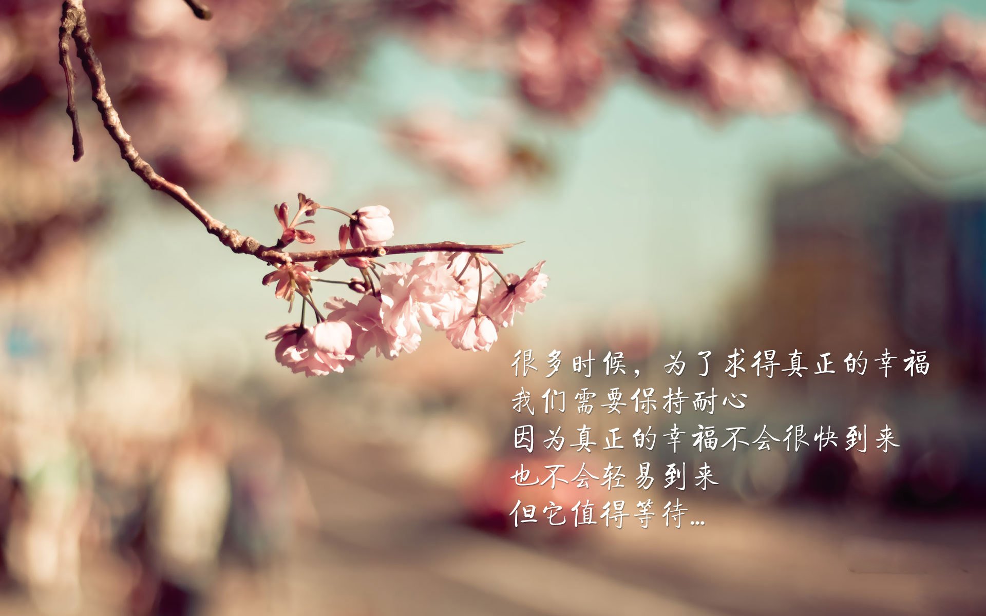 新疆飞虎比赛经验丰富球员发挥稳定，新疆飞虎队员