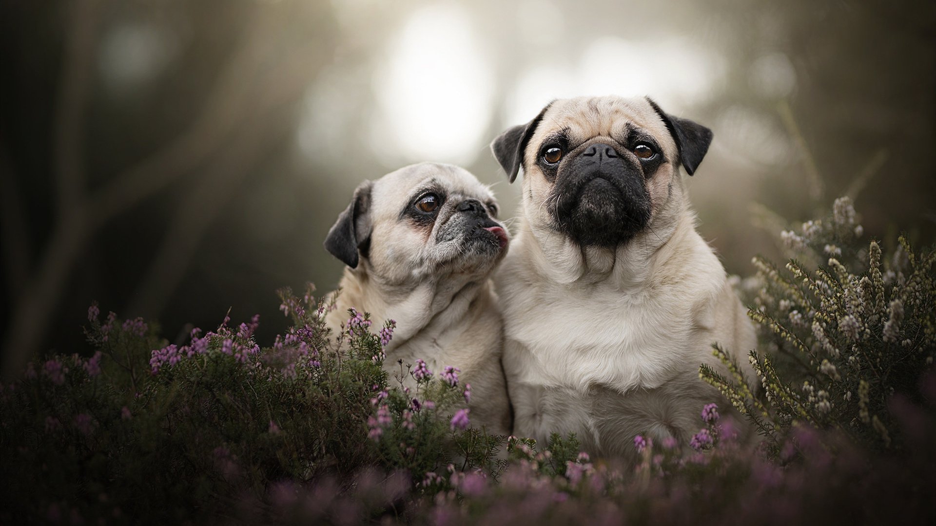 守转攻阶段是否是五大联赛战术创新最集中的部分，守转攻三对三有哪些训练方法