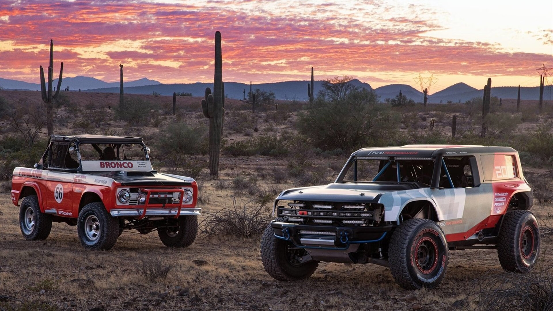 本菲卡门将高接低挡,表现稳健,本菲卡主帅