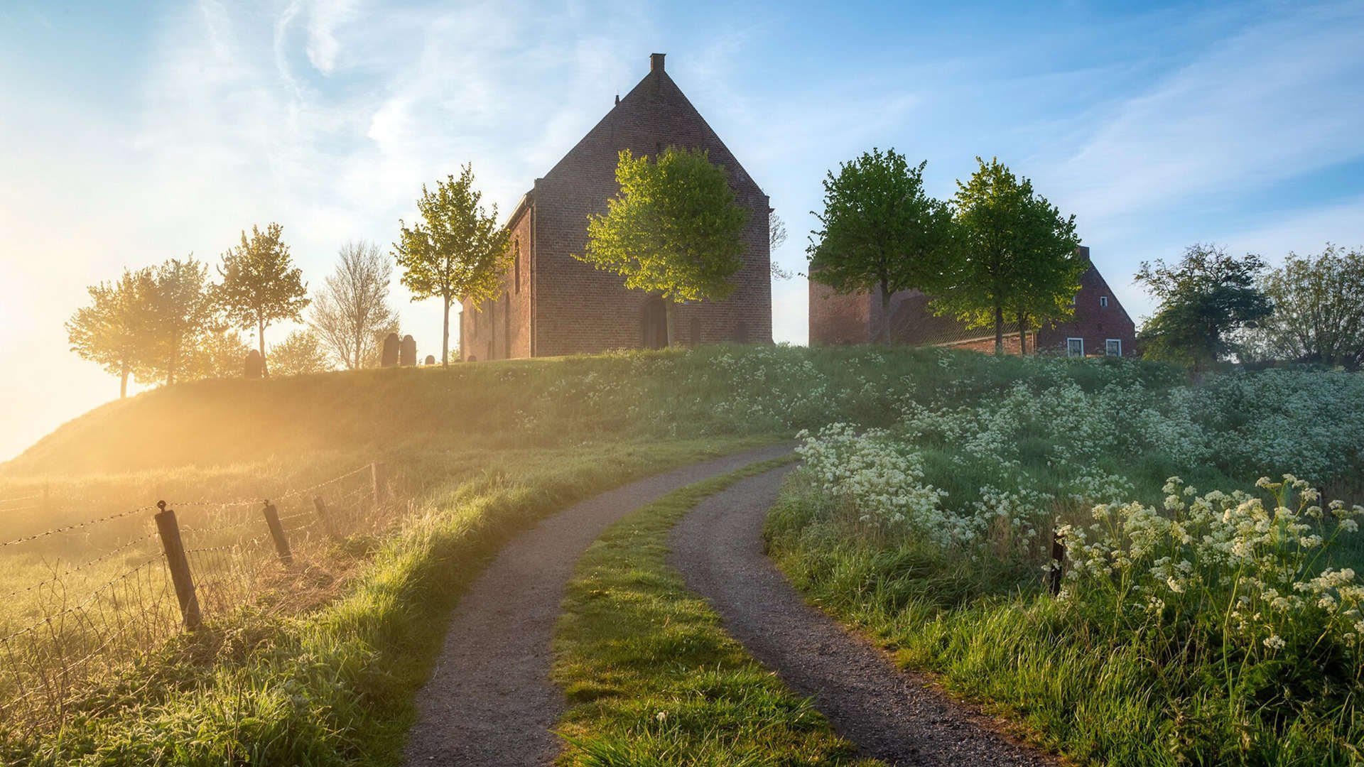 瑞典队乒乓球战术：如何利用身体语言扰乱对手，瑞典乒乓球员