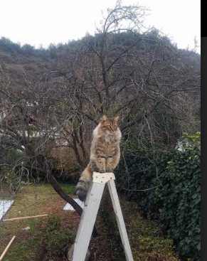 轻艇马拉松配套嘉年华,市民互动不停歇,赛艇马拉松