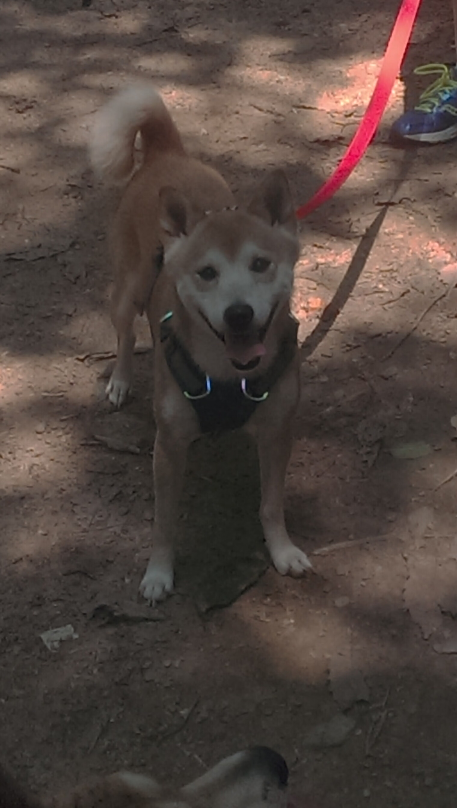 体育公益项目覆盖面扩大,体育公益项目名称