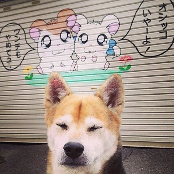 克洛普不断革新战术,带领利物浦冲击更高荣誉