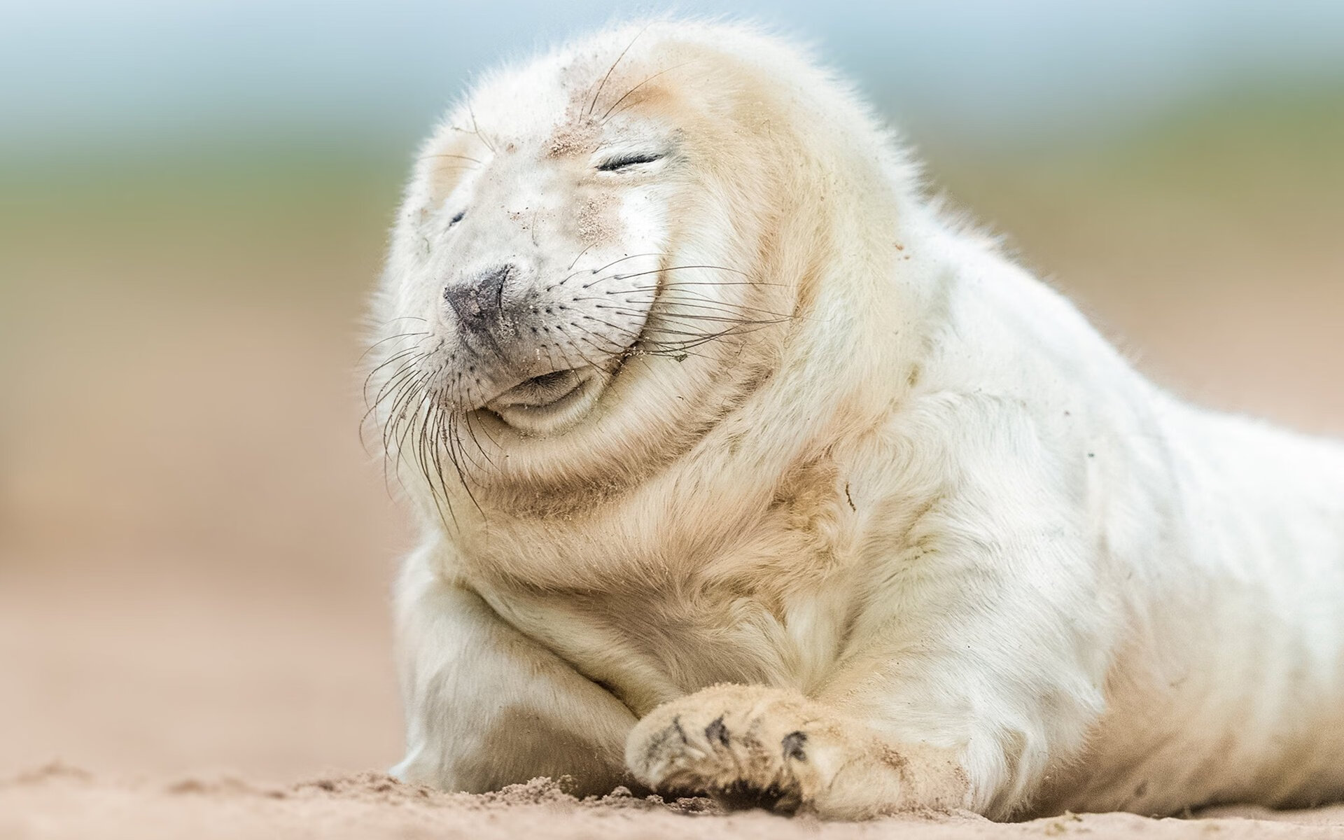 开云网页版-冬训期间球队完成多场热身赛新战术逐渐成熟并取得效果，2021冬训方案