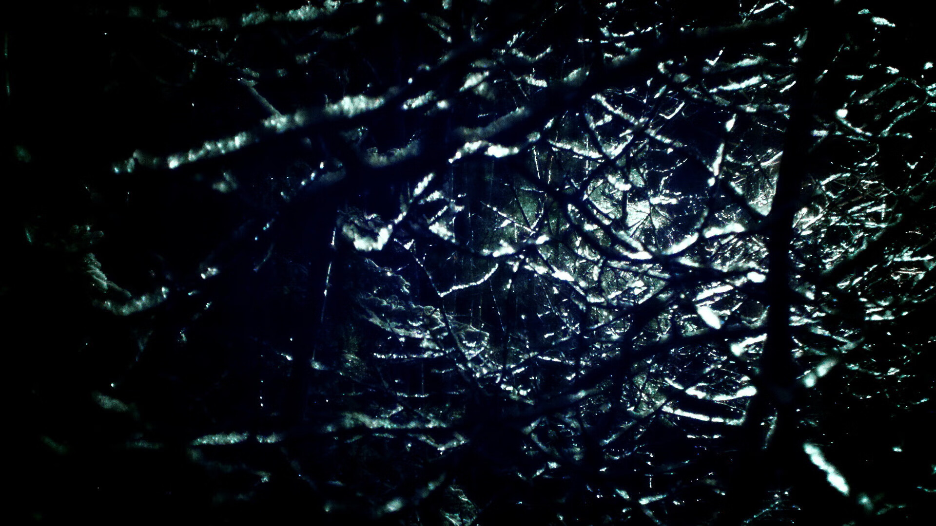 新闻中心发布最新竞技体制改革意见征集通知，竞技体育战略