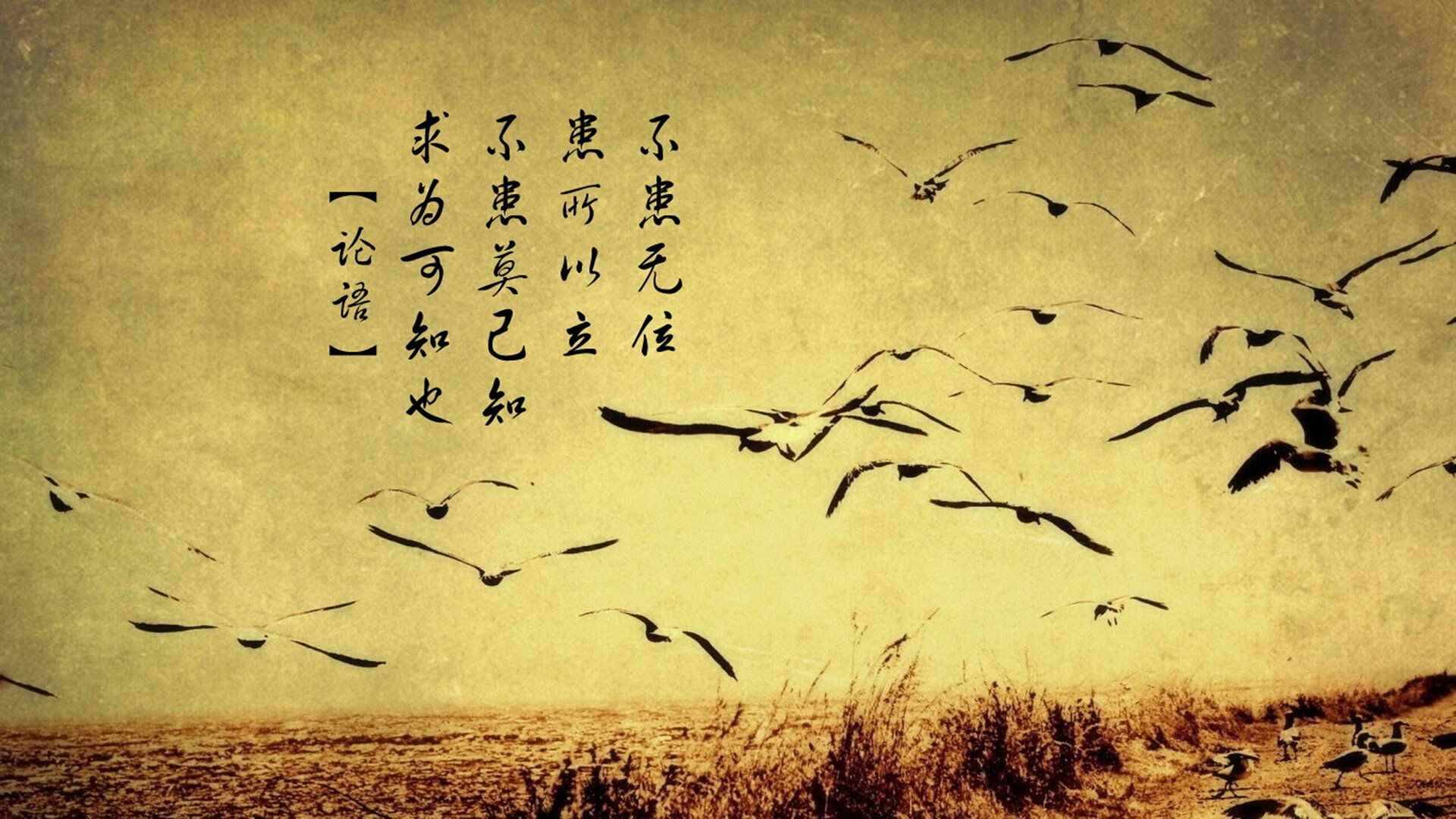 新西兰男队战术创新赢得全球赞誉,未来潜力巨大,新西兰男篮阵容