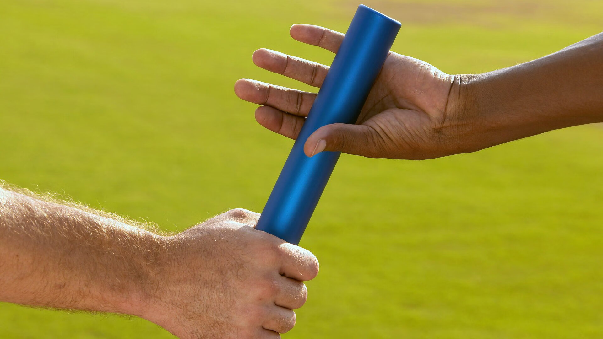 “荒野追逐：穿越山谷与沙漠的极速之战”，荒野追踪电影剧情女主背叛